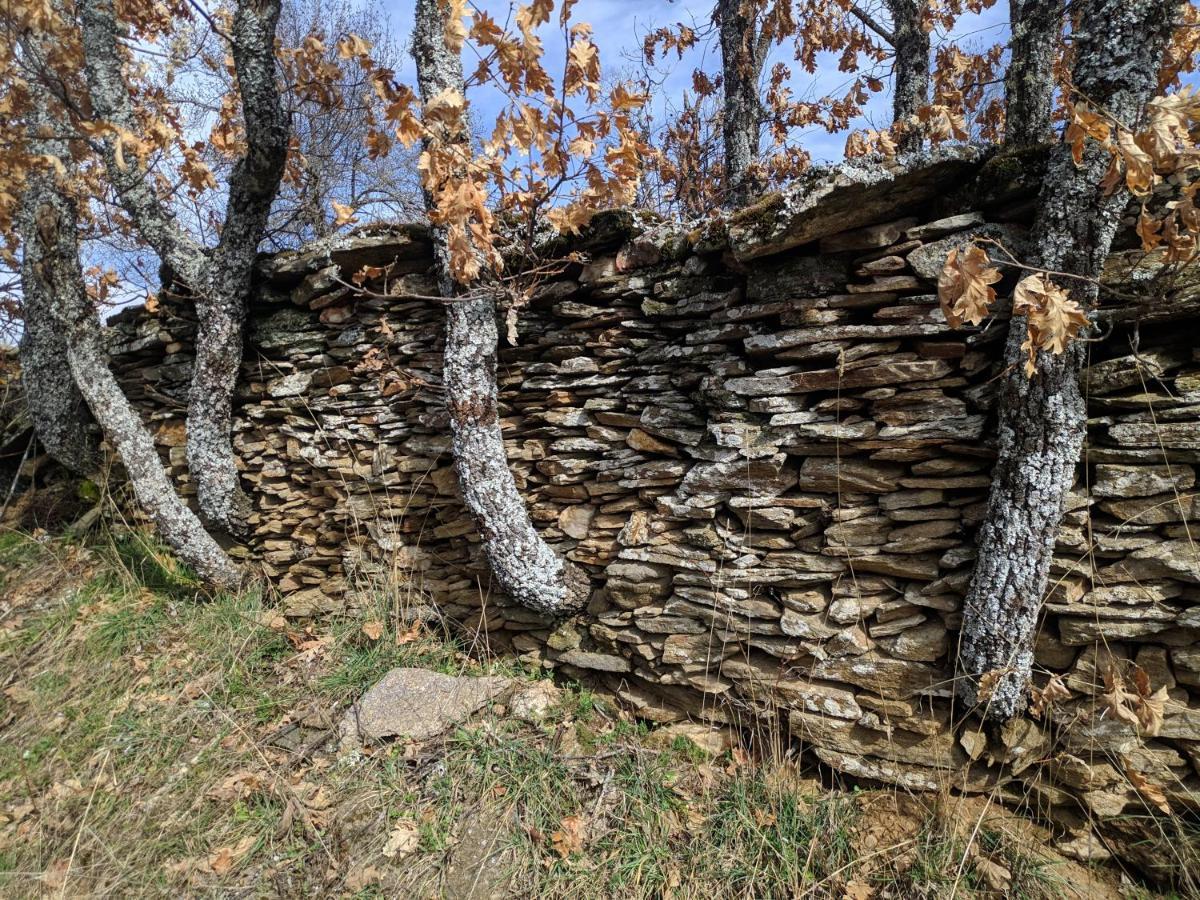 Casa Rural Fuente Del Arca Montejo Монтехо де ла Сиера Екстериор снимка